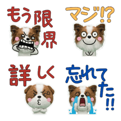 ดุ๊กดิ๊ก ตุ๊กตา ปาปิยอง  10