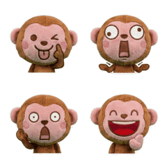 Moving Rhesus Macaque  8th