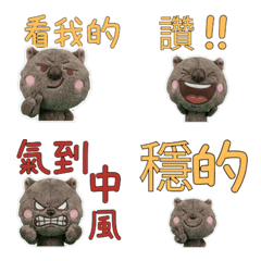 วอมแบต ไต้หวัน ขยับได้ 34