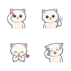 小白貓萬用日常！工作旅遊與生活