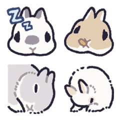 Bunny Faces Like This