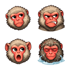 Japanese Macaque Face