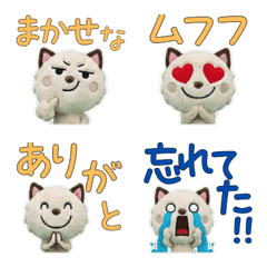 Plush Himalayan  9th