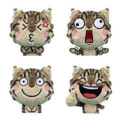 ตุ๊กตา อเมริกันบ็อบเทล  7th