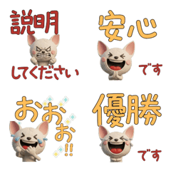 Polite 3D Don Sphynx Cat  29