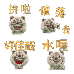 Animated Taiwanese Ragamuffin  34