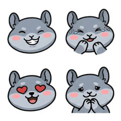 Moving Round Face Chinchilla 20