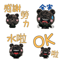 Taiwanese Amami Rabbit 33