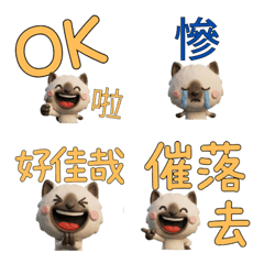 Taiwanese Seal Point Cat  39