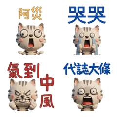 動く台湾語のシェーデッド猫40