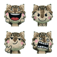 Moving American Bobtail 8th