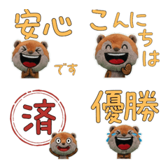 Moving Plush Coati 10