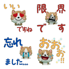 動く敬語アメスタ12