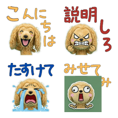 Moving Plush Afghan 10