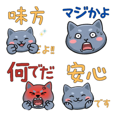 Round Face Korat Cat 21