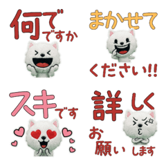 เวสตี้ สุภาพ ขยับได้ 12