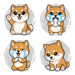 元気いっぱいの柴犬 （グレー）