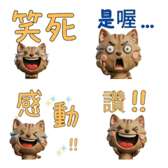 แมวโซโกเก ไต้หวัน ขยับ  40