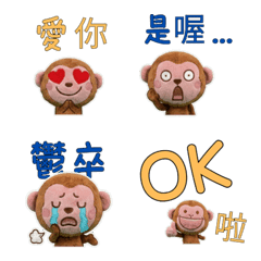 Taiwanese Rhesus Macaque 33