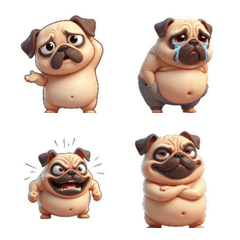 Cute Pug Seeking Cuddles and Pets