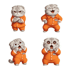 Hungry Orange Cat Demands Food!