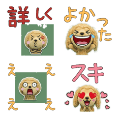 Plush Afghan Hound  9th