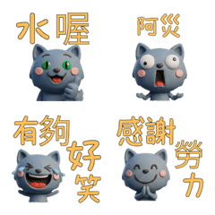 Taiwanese Blue Tabby Cat  39