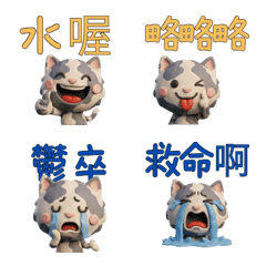 Taiwanese Blue Cream Cat  39