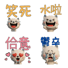 Taiwanese Blue Point Cat  39