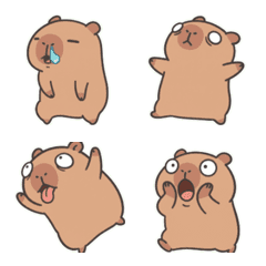 คาปิบาราสุดชิลล์ อะไรก็ได้หมดเลย