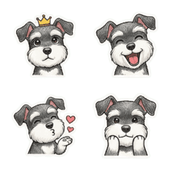 Dog Club-Schnauzer-2