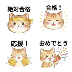 Exam Support Fluffy Cat