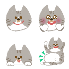 Silver Tabby Tuxedo brown mustache