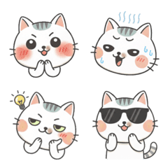 White and brown tabby cat