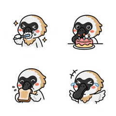 Daily Life of the Spoonbill