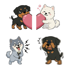 Rottweiler & White Shepherd