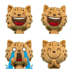 ตุ๊กตาแมวออซิแคต  7