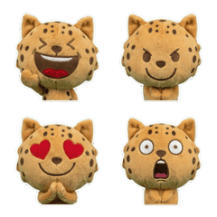 Animated Ocicat  8th