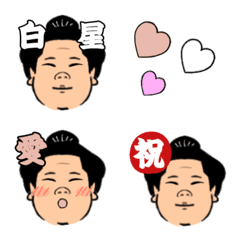 easy to use sumo emoji2