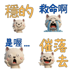 แมวไลแลคพอยท์ ภาษาไต้หวัน  39