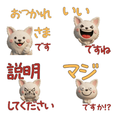 Polite Long Coat Chihuahua  29