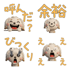 3D Long-haired Dachshund  27