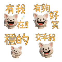 Taiwanese Long Coat Chihuahua  39