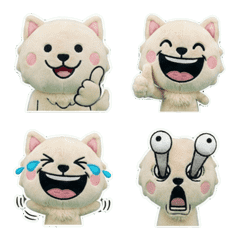 Animated Cymric Cat  8th