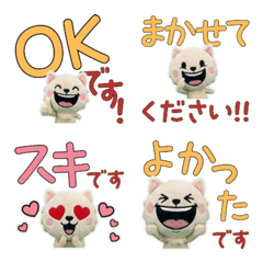 Animated Polite Cymric Cat  12