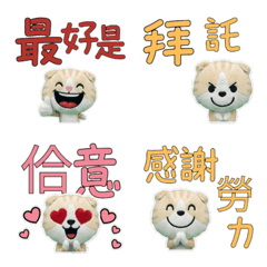 Animated Taiwan Kinkalow  34