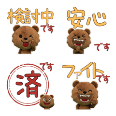 Polite Grizzly Bear  11