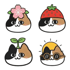 三花貓凡凡 繽紛日常篇