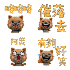 動く台湾語のケアーンテリア34