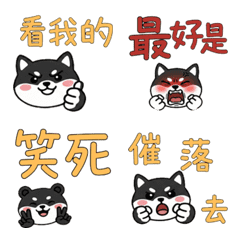 動く台湾語のツキノワグマ38